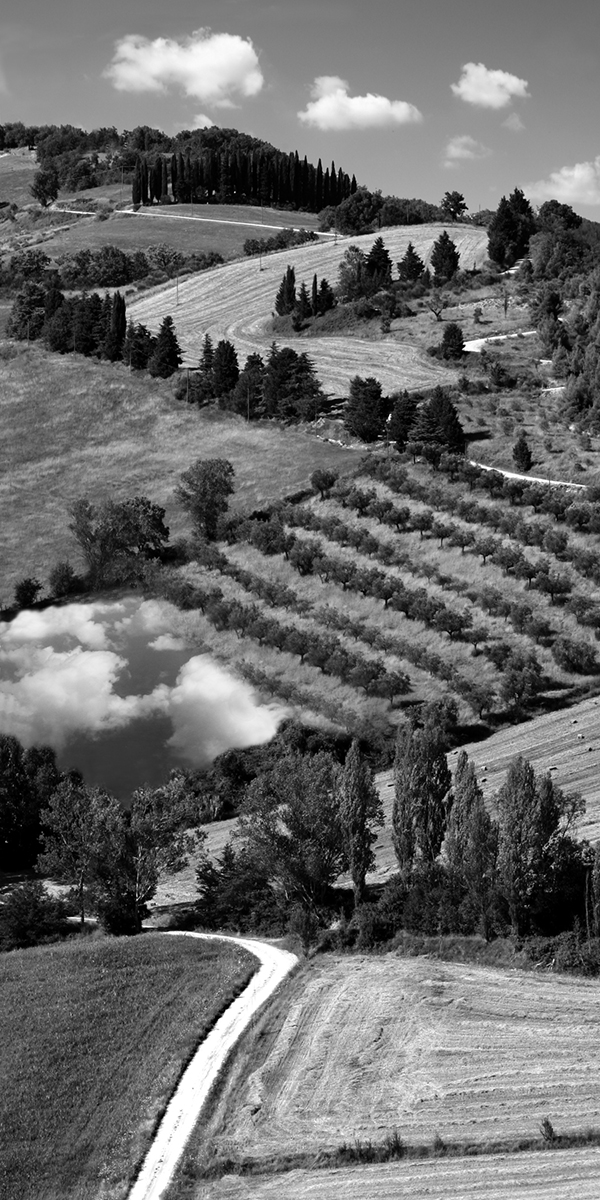 cloud farm